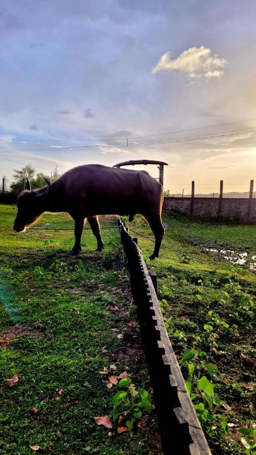 Pousada Marajoara- Hotel Fazenda-Turismo De Aventura ソウレ エクステリア 写真
