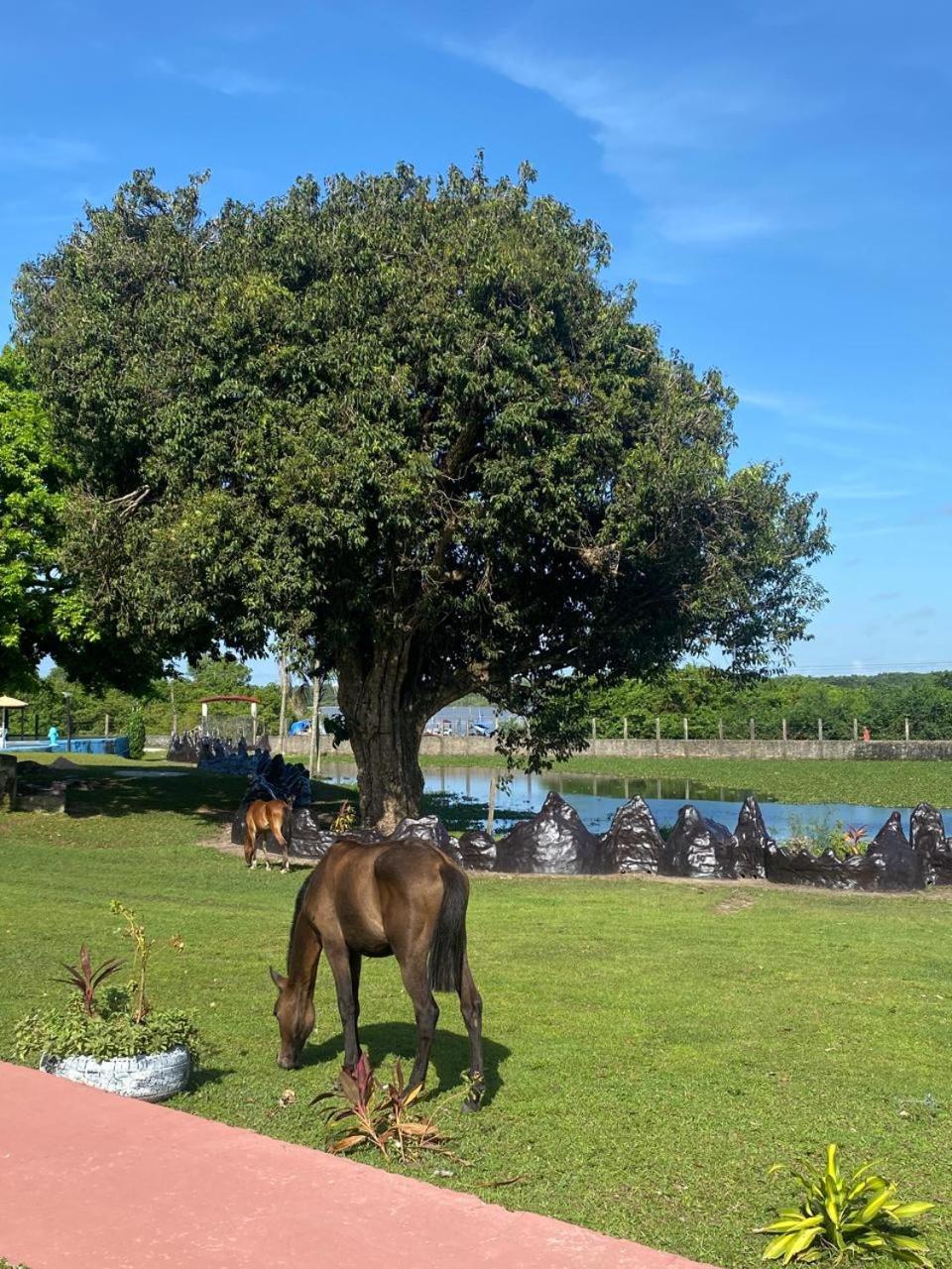 Pousada Marajoara- Hotel Fazenda-Turismo De Aventura ソウレ エクステリア 写真
