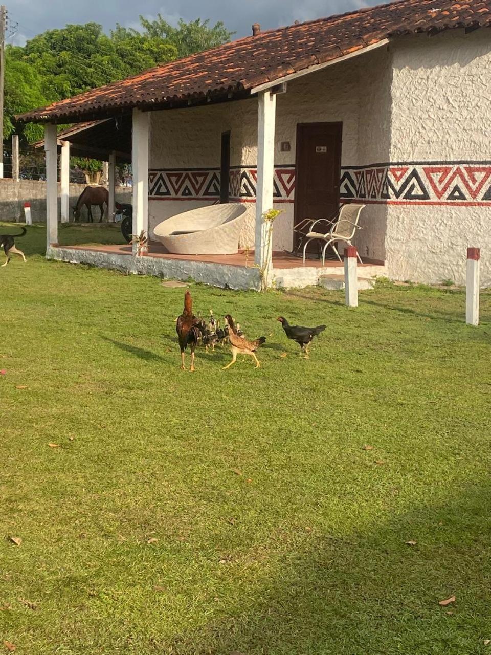 Pousada Marajoara- Hotel Fazenda-Turismo De Aventura ソウレ エクステリア 写真